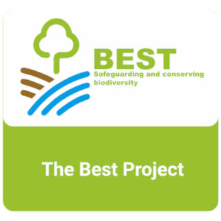 The Best Project