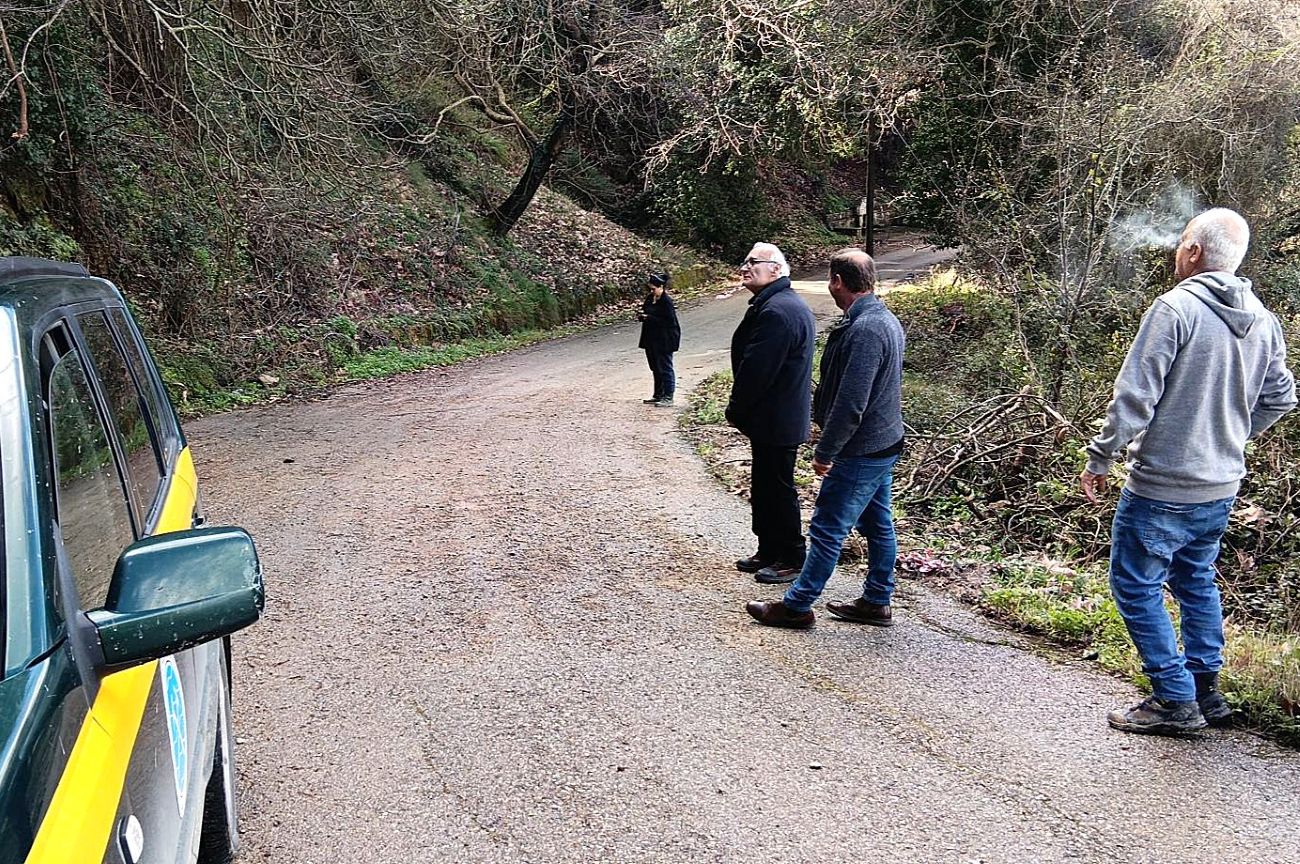 Πηνεία αυτοψίες καθιζήσεις