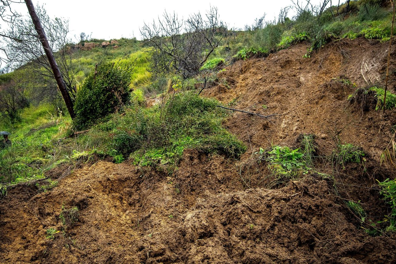 Πηνεία αυτοψίες καθιζήσεις