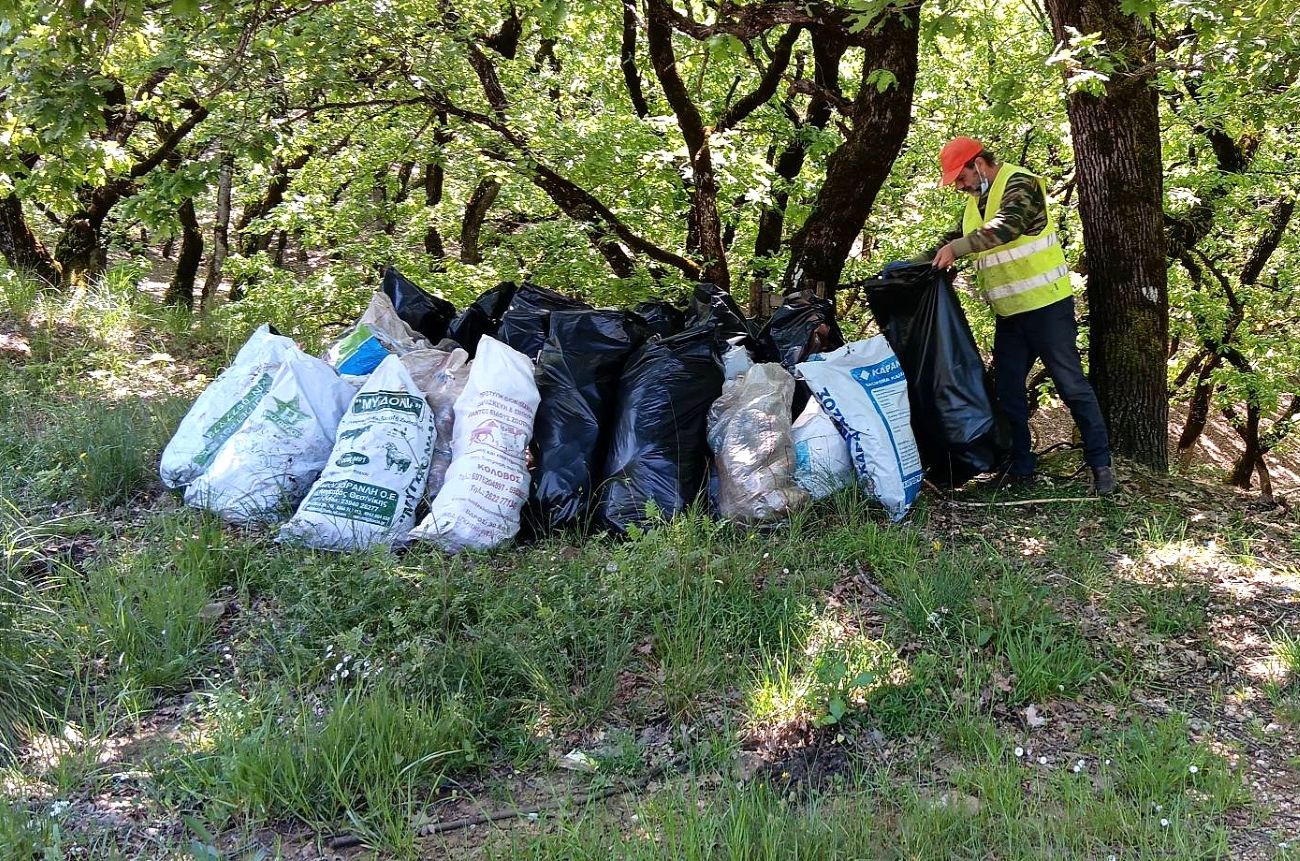 Καθαρισμός Δρυοδάσος Κάπελης