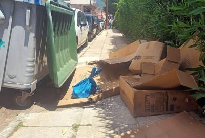 Νέο πρόγραμμα περισυλλογής χαρτόκουτων Αμαλιάδας