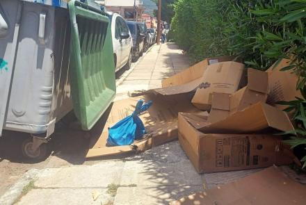 Νέο πρόγραμμα περισυλλογής χαρτόκουτων Αμαλιάδας